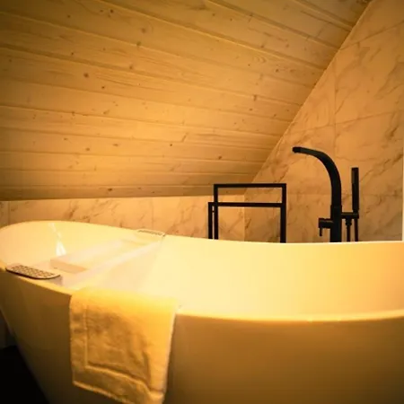 Lesna Sielanka 펜션